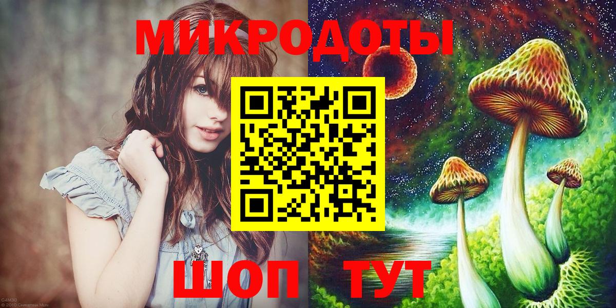 Северобайкальск  Псилоцибиновые грибы MAGIC MUSHROOMS  Вход с VPN 