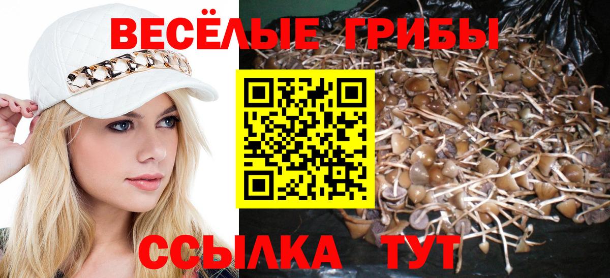 Галлюциногенные грибы Cubensis Северобайкальск